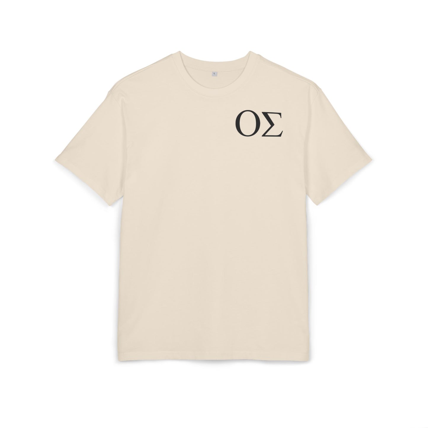Greek Letters Unisex Heavy Oversized Tee, OS