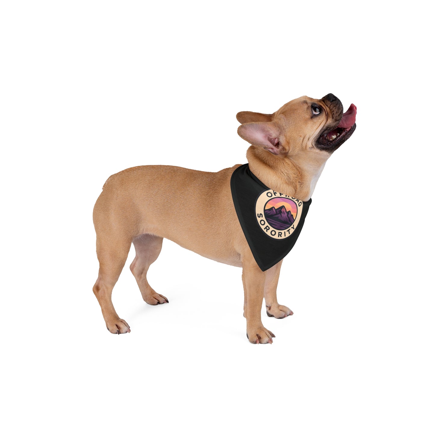 Adventure-Ready Pet Bandana - Offroad Sorority Design