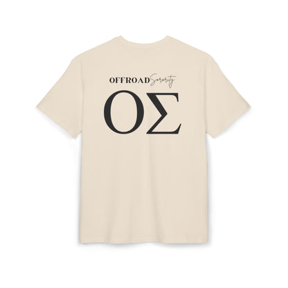 Greek Letters Unisex Heavy Oversized Tee, OS